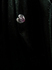 2009-05-22.jpg