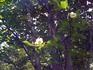 2009-06-15-0.jpg