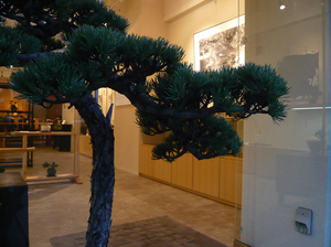 P1070641_sd.jpg