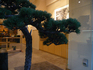 P1070641_sd.jpg